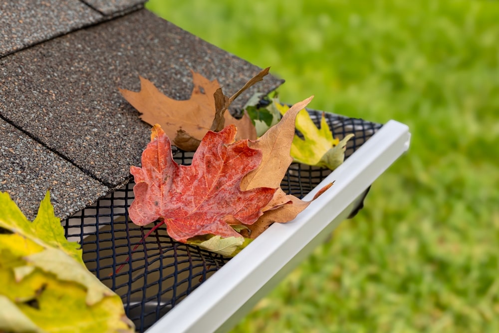 Spring Roof Cleaning in Calgary